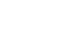 logo puttih